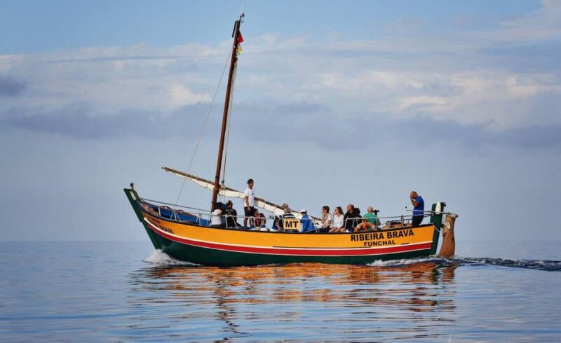 Madeira: Whale Watching Excursion in a Traditional Vessel - Coastal Views and Scenery from the Boat