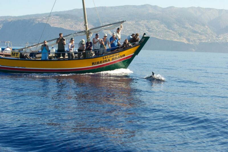 Madeira: Whale Watching Excursion in a Traditional Vessel - Cost-Effectiveness and Value