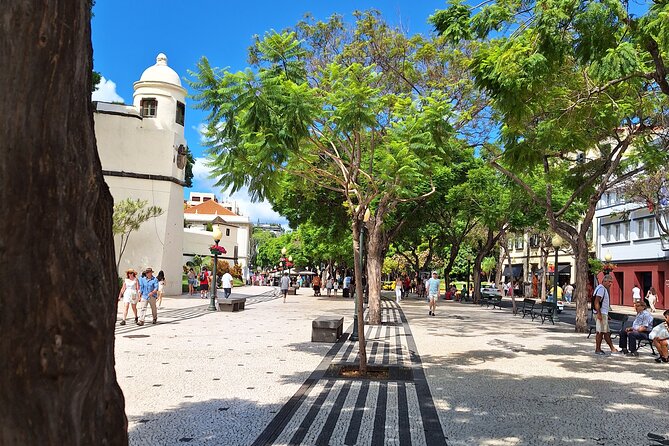 Madeira Wine Tasting and Funchal City tour - Strolling Through Funchal’s Old Town and Artful Doors