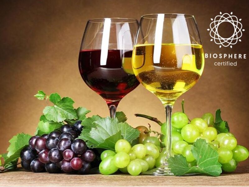 Madeira: Wine Tasting Experience Honey Museum and Cabo Girão - Madeira Wine Tasting at Henriques & Henriques