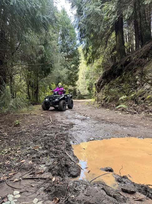 Madeira:Private Mountain Quad AdventureExplore Wild Madeira - Madeiras Top Off-Road Adventure: Private Mountain Quad Tour