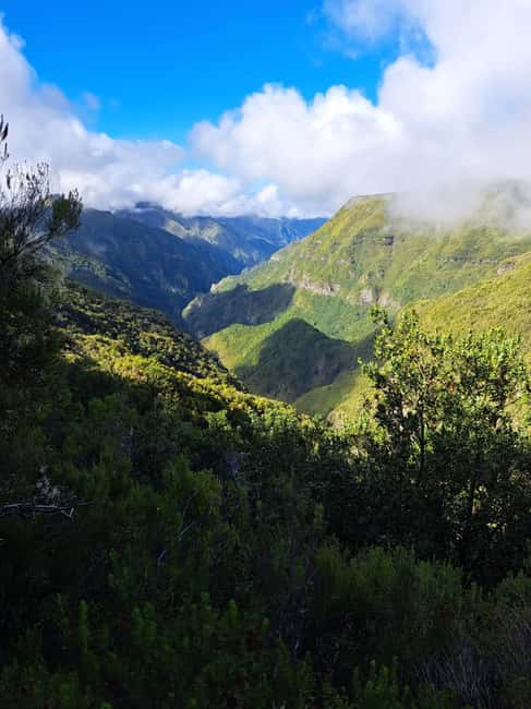 Madeiras Hidden Waterfall Gem - Lagoa do Vento - Navigating the Narrow, Mossy Trails