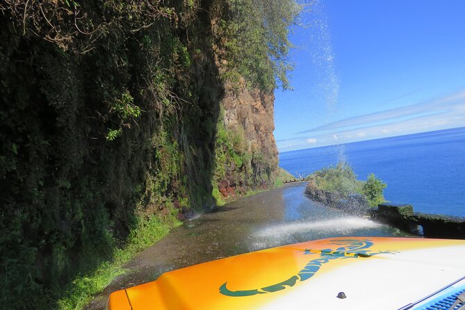 Madeira's Majestic South Coastal Wonders - Exploring Paul Do Mar Shelter Harbour and Miradouro Viewpoints