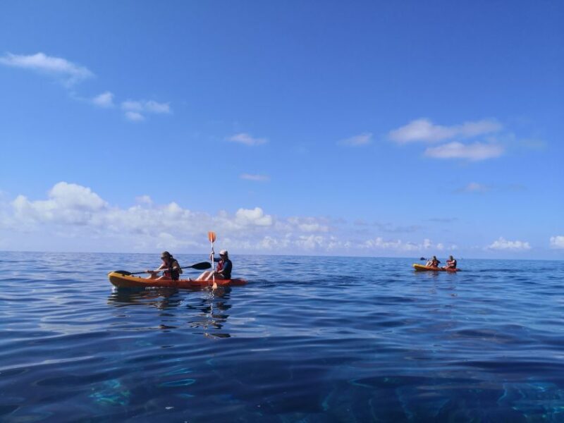 Madeiras Marine Reserve: Kayak & Snorkelling Trip - Paddling Along Madeira’s Coastline