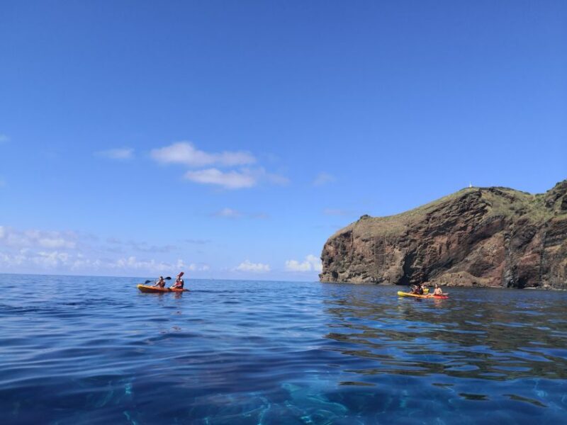 Madeiras Marine Reserve: Kayak & Snorkelling Trip - Notable Review Highlights and Insights