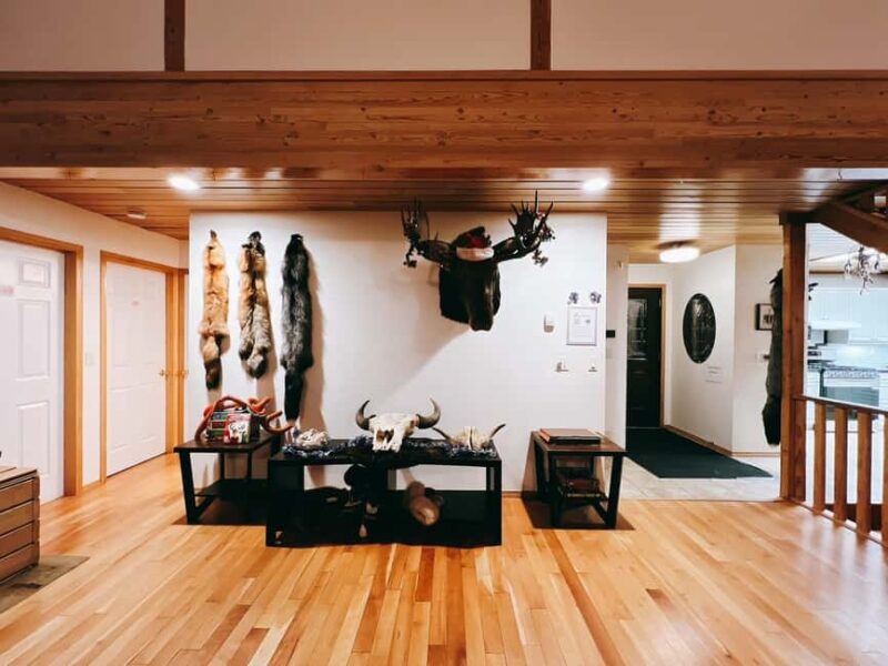 Madeline Lake: Aurora Lodge and Aurora Chasing Tour - Suitability and Accessibility Considerations