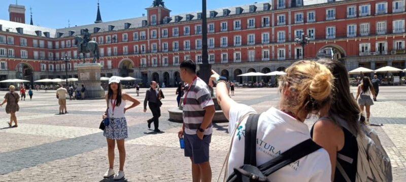 Madrid: 1.5-Hour City Highlights Guided Walking Tour - Discovering Puerta del Sol and Plaza Mayor in the Heart of Madrid