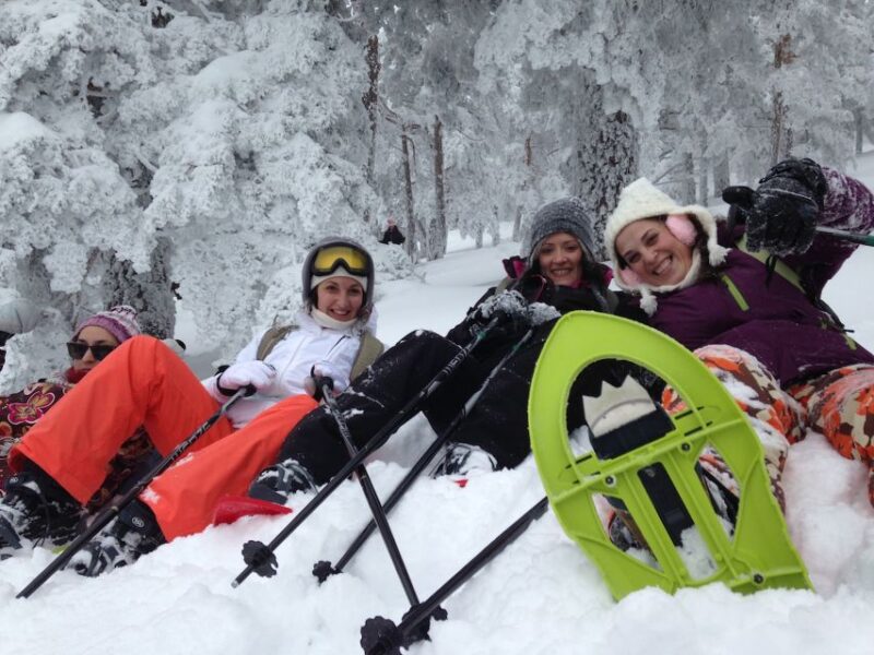 Madrid: 4-Hour Snowshoe Hiking - Learning How to Snowshoe Made Easy