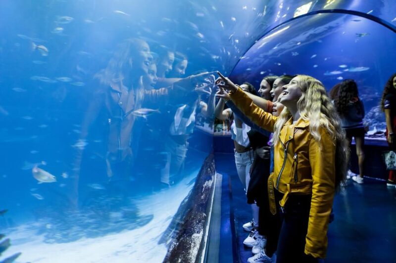 Madrid: Atlantis Aquarium Entry Ticket - The 20 Aquariums Showcasing 150 Marine Species
