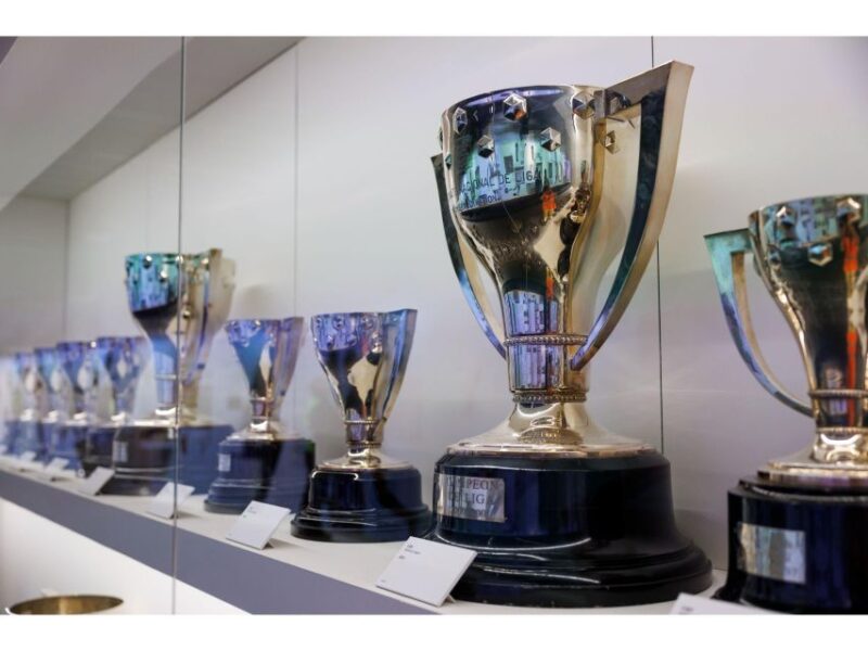 Madrid: Bernabeu Stadium Private Tour - The Guide Experience and Tour Quality