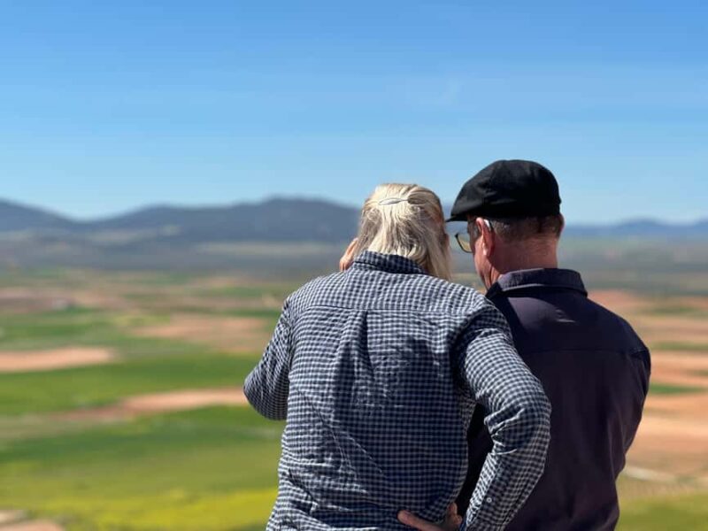 Madrid: Consuegra Tour, Quixote's Windmills, and Castillo de la Muela - Who Will Enjoy This Tour?