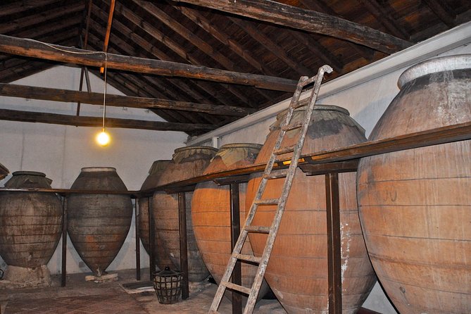 Madrid Countryside Wineries Guided Tour with Wine Tasting - Second Stop: Bodega del Nero