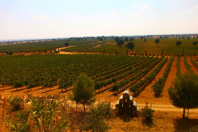 Madrid Countryside Wineries Guided Tour with Wine Tasting - The Role of the Guides and Tour Atmosphere