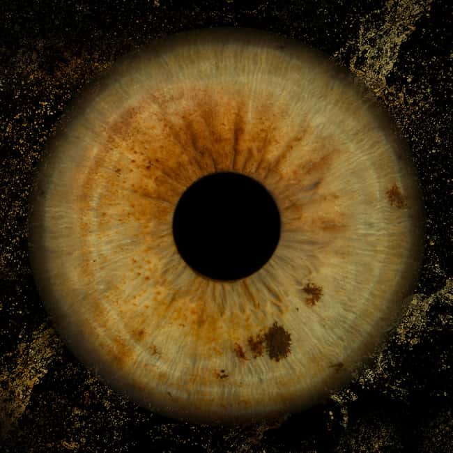 Madrid: Discover the colors of your iris with printing included - Key Points