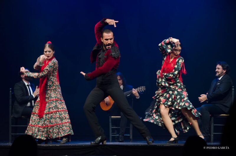 Madrid: "Emociones" Live Flamenco Performance - Key Points