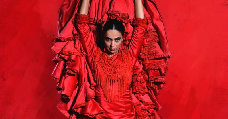 Madrid: "Emociones" Live Flamenco Performance - Practical Tips for Attending the Show