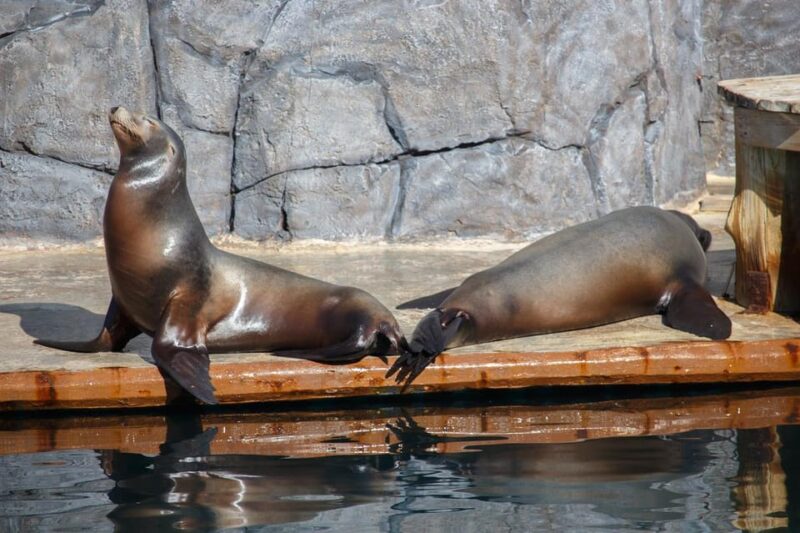 Madrid: Faunia Entry Ticket - Explore Faunia Madrid with an Affordable, Stress-Free Entry Ticket