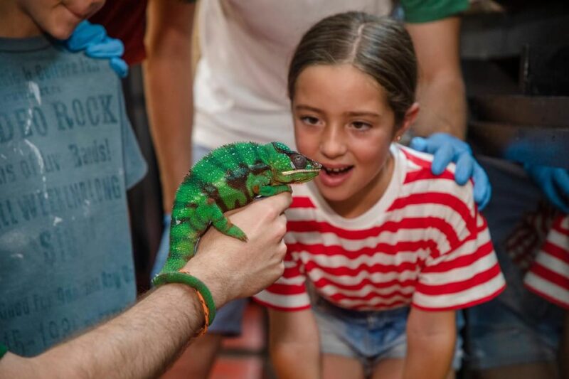 Madrid: Faunia Entry Ticket - Unique Areas: Nocturnal Zone, Mysteries Under the Earth, and Australian Meadow