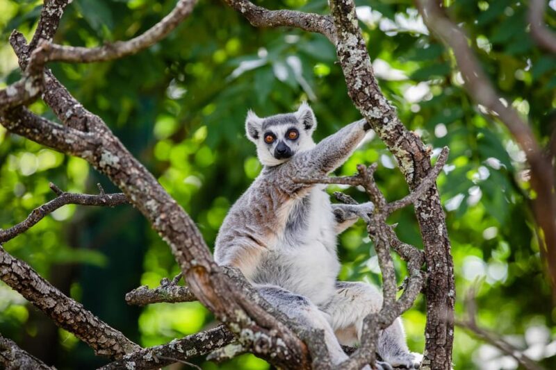 Madrid: Faunia Entry Ticket - Why Choose This Ticket for Visiting Faunia Madrid