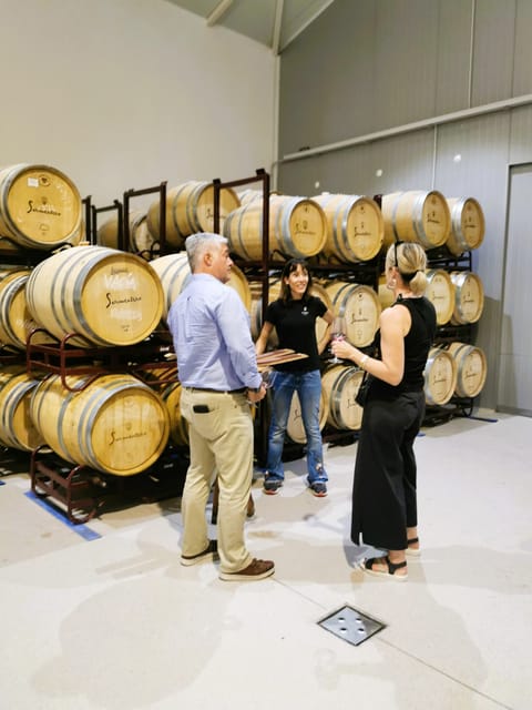 Madrid: half day wine region tour - Madrids Half-Day Wine Region Tour: An Authentic Experience Just Outside the City