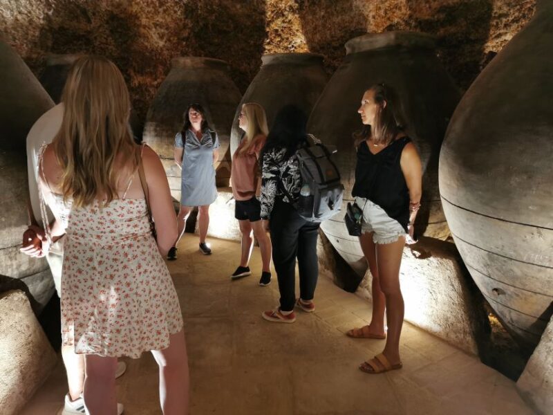 Madrid: half day wine region tour - Second Winery Visit and Exclusive Tasting Experience