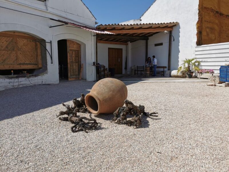 Madrid: half day wine region tour - The Expert Guide: Knowledgeable and Friendly