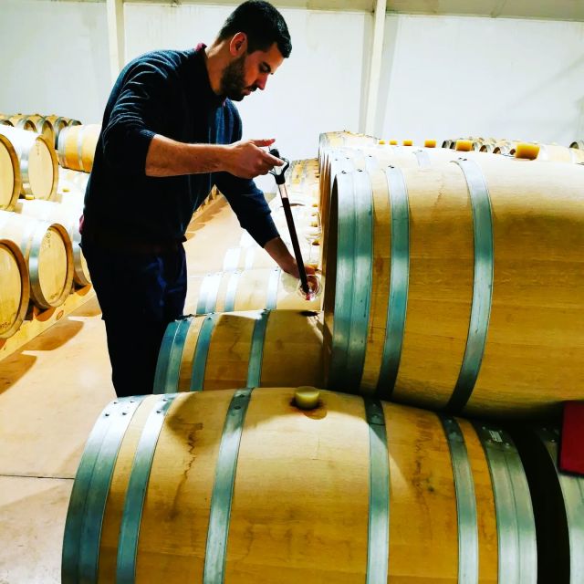 Madrid: half day wine region tour - Who Will Appreciate This Tour Most?