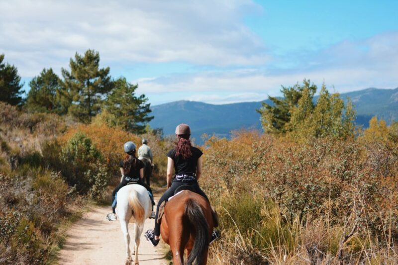 Madrid: Horse Riding in Sierra del Guadarrama National Park - Key Points