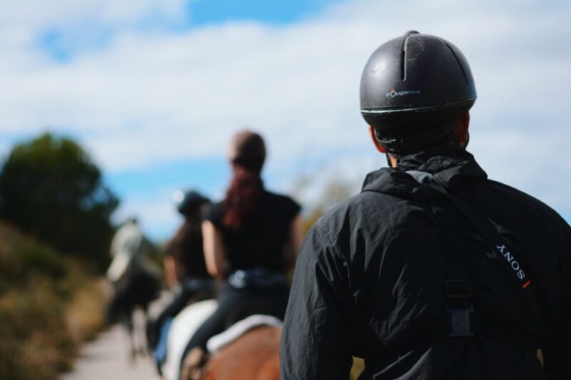 Madrid: Horse Riding in Sierra del Guadarrama National Park - The horses and safety gear
