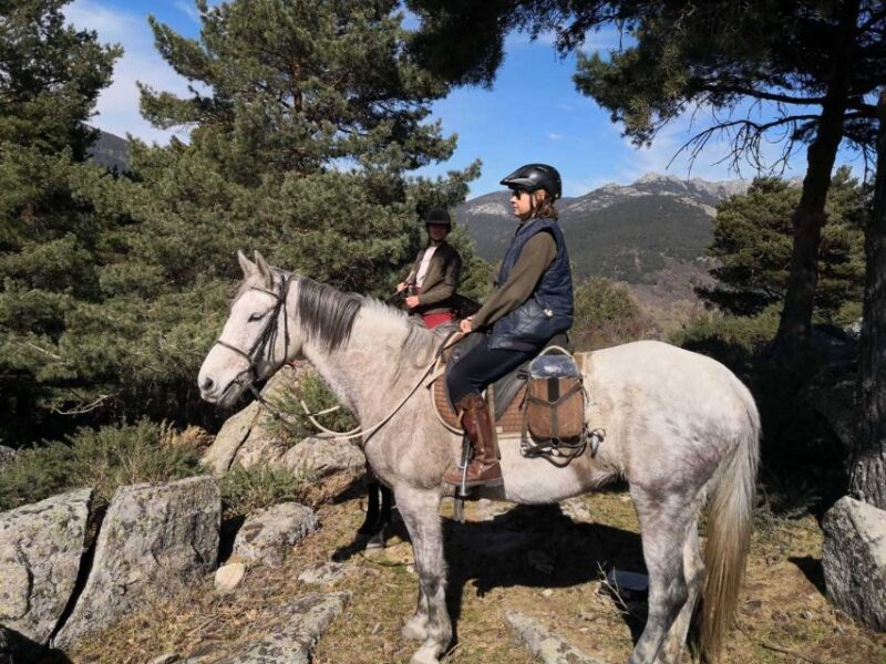 Madrid: Horse Riding in Sierra del Guadarrama National Park - Who will enjoy this horseback riding tour?
