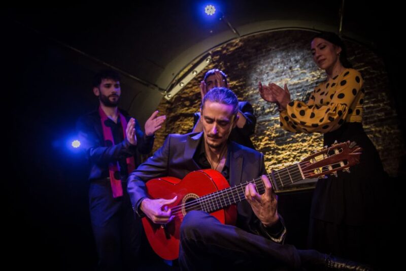 Madrid: La Cueva de Lola Flamenco Show Tickets with Drink - The Artistic Lineup and Performance Quality