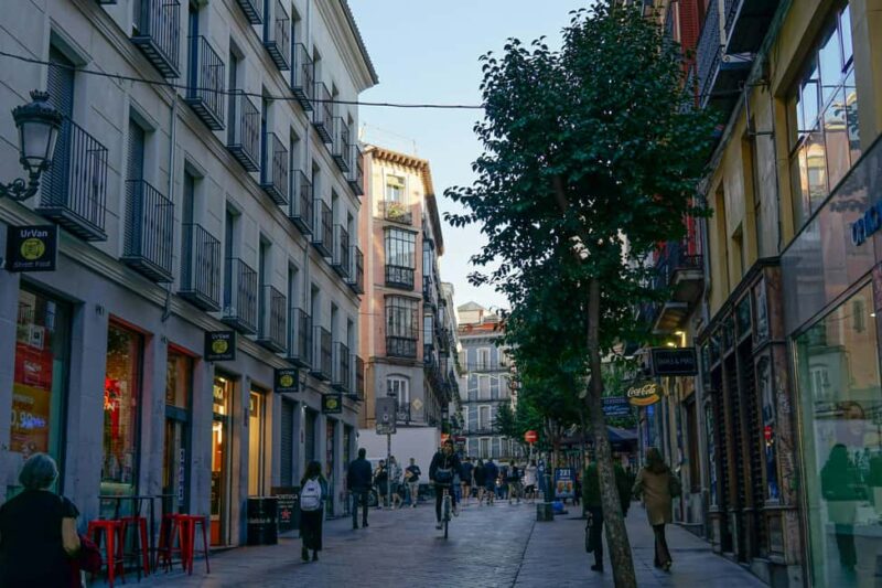 Madrid: La Latina Walking Tour with Tapas and Drink - Tasting Local Snacks and Food in La Latina