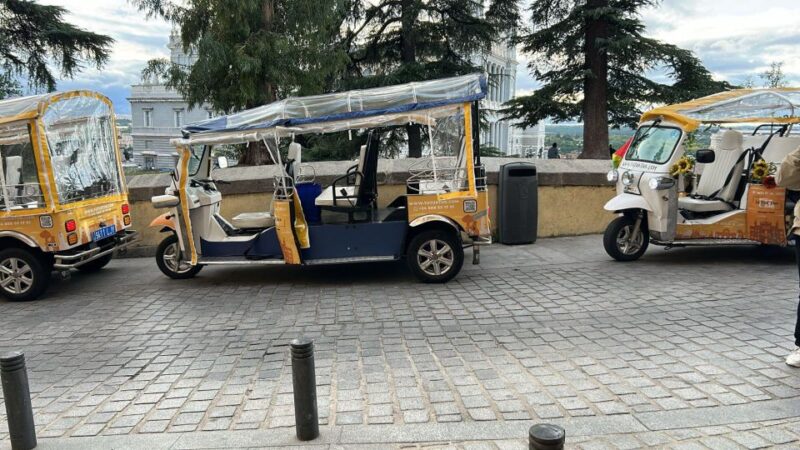 Madrid: Modern tour with Private guide in yellow tuk tuk - Who Should Consider This Tour
