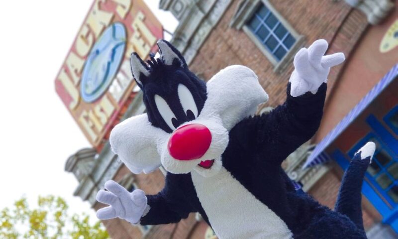 Madrid: Parque Warner Ticket and Roundtrip Transportation - Cartoon Village: Kids’ Paradise and Family-Friendly Rides