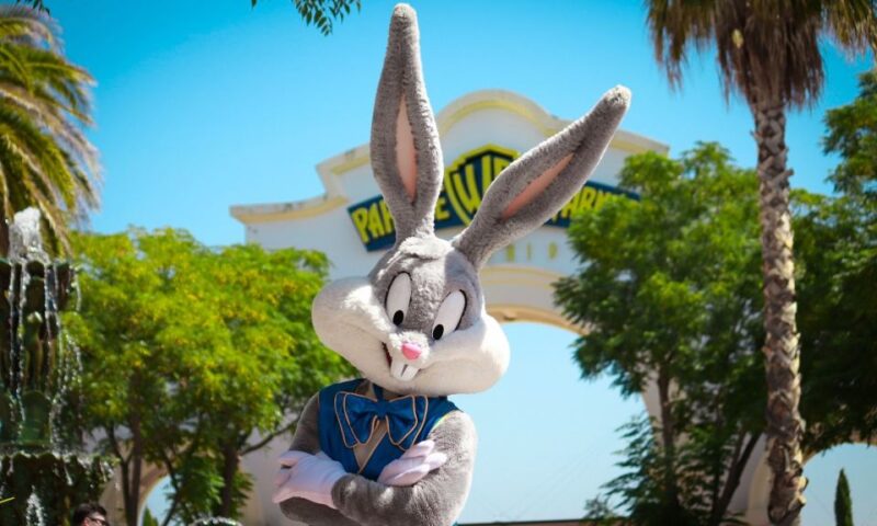 Madrid: Parque Warner Ticket and Roundtrip Transportation - Behind the Scenes at Movie World Studios