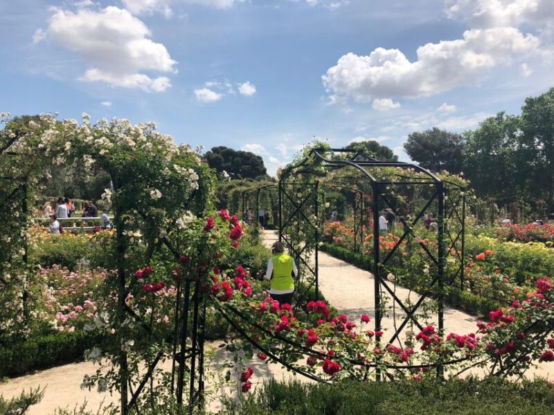 Madrid: Prado Avenue and Retiro Park Guided Walking Tour - Discover Madrid’s Green Heart and Elegant Streets in One Tour