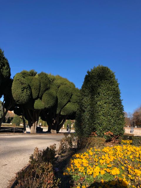 Madrid: Prado Avenue and Retiro Park Guided Walking Tour - Spotting Peacocks and Nature in Retiro Park