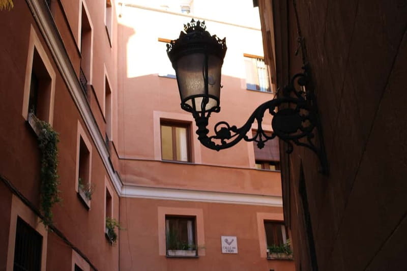 Madrid: Private Walking Tour - Limitations and Practical Details