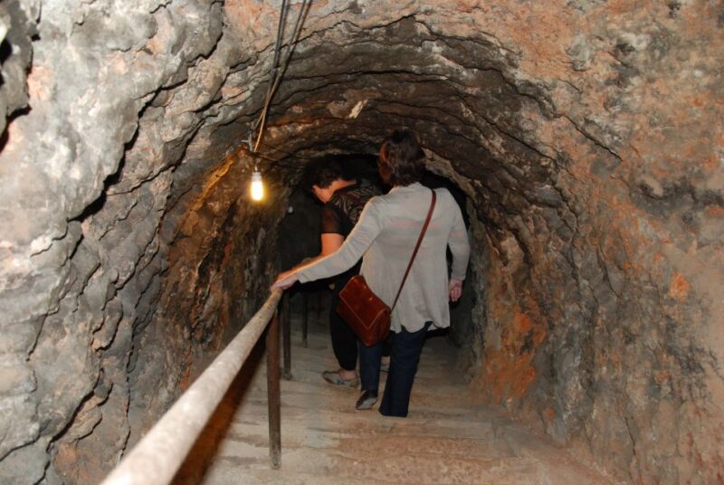 Madrid: Regional Madrid Wineries Guided Tour and Tastings - From Traditional to Modern: Wineries in Action