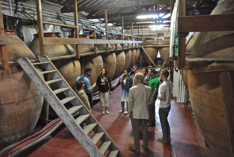 Madrid: Regional Madrid Wineries Guided Tour and Tastings - What Sets This Tour Apart from Others