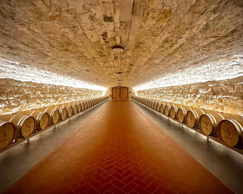 Madrid: Ribera del Duero Wine Tour with Tastings and Lunch - Logistics: Meeting Point and Group Size