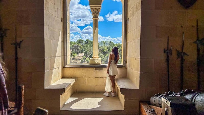 Madrid: Segovia & Ávila Full Day with Alcázar & Wall Tickets - Who Will Love This Tour?