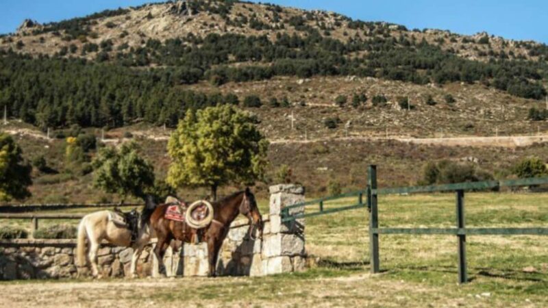 Madrid: Sierra de Guadarrama Horseback Riding Experience - Key Points