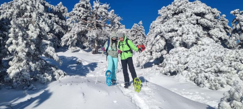 Madrid: Snowshoe tour - The Expertise of Tabei Adventures Guides