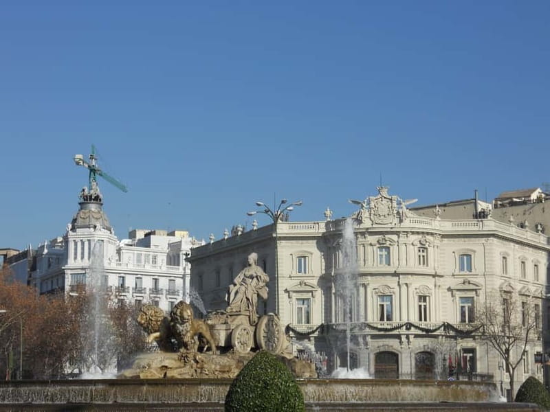 Madrid: Tour of the Historic City Center - Who Should Take This Tour?