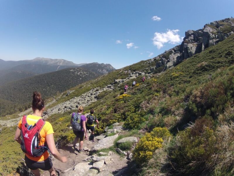 Madrid: Trail Running Day Trip - Key Points