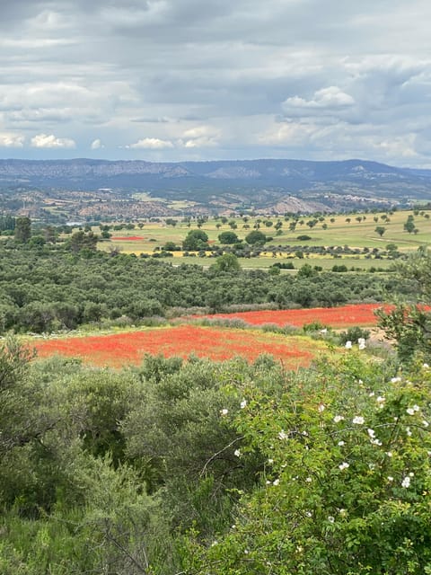 Madrid: Unspoiled Spain for Foodies & Nature s - Practical Details: Meeting Point, Duration, and Flexibility