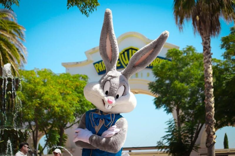 Madrid: Warner Park Entry Ticket - Accessibility and Practicalities