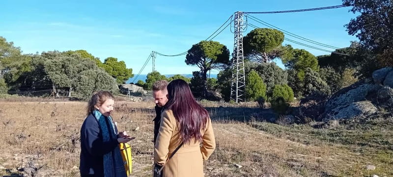 Madrid Wine Tour: Discover Unique Local Wineries & Tastings - Discover Madrids Unique Local Wineries and Authentic Tastings