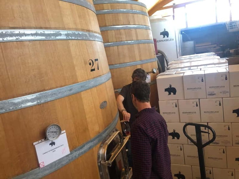 Madrid Wine Tour: Discover Unique Local Wineries & Tastings - Personalized Guidance from a Certified Wine Scholar